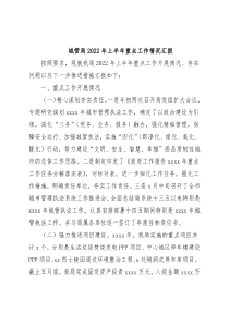 城管局2022年上半年重点工作情况汇报