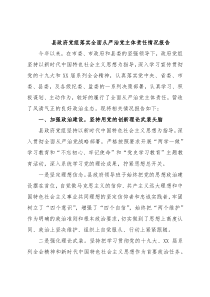 县政府党组落实全面从严治党主体责任情况报告