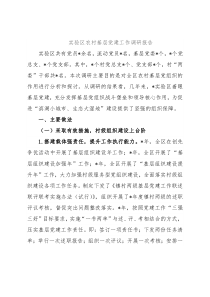 实验区农村基层党建工作调研报告