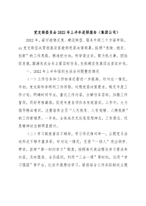 党支部委员会2022年上半年述职报告（集团公司）