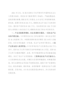 县X族乡2021年度工作情况总结