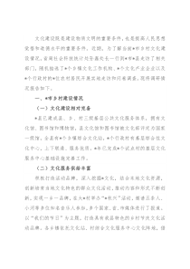 市乡村文化建设情况调研报告