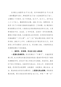 X镇乡村振兴典型发言材料 