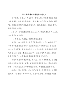 2022年稳就业工作报告（范文）