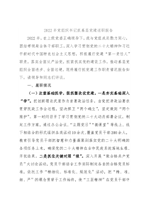 2022年党组织书记抓基层党建述职报告