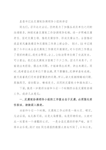 县委书记在反腐败协调领导小组的讲话