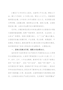 镇“三治”融合发展的乡村治理体系建设工作汇报