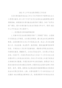 2021年上半年法治政府建设工作总结