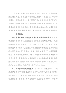 市审计局关于法治政府建设的工作汇报