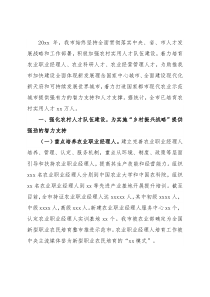 农村实用人才工作总结