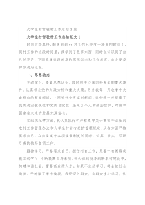 大学生村官驻村工作总结3篇