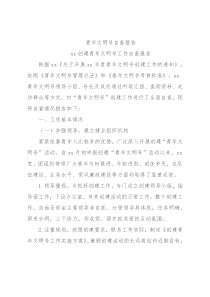 青年文明号自查报告