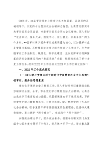 审计局2022年工作总结及2023年工作打算