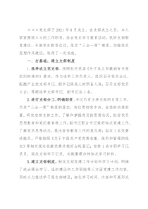 新成立党支部书记述职报告