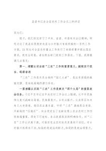 县委书记在全县农村工作会议上的讲话
