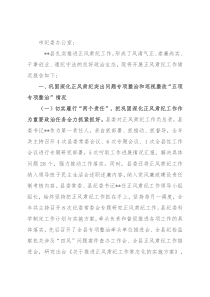 某县正风肃纪和巡视整改工作总结报告