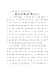 对乡镇领导班子成员的批评意见