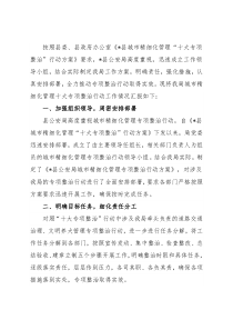 县公安局城市精细化管理十大专项整治行动工作情况汇报