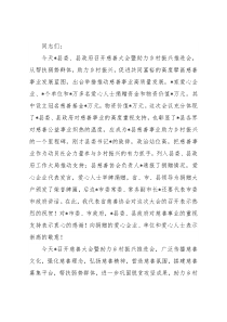 在2022年县慈善大会暨助力乡村振兴推进会上的讲话