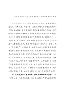 公司纪委委员学习十九届中央纪委六次全会精神心得体会