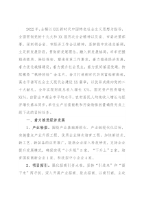 2022年镇党委政府工作要点