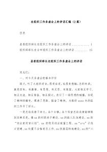 在组织工作务虚会上的讲话汇编2篇