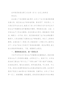 在市政府安委会第三次全体（扩大）会议上的讲话