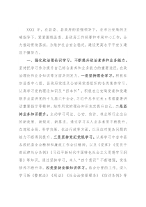 副县长、公安局长述职述廉述效报告（区县政府）