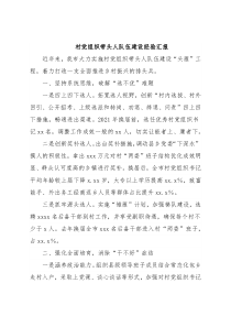 村党组织带头人队伍建设经验汇报