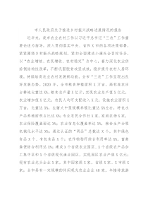 市人民政府关于推进乡村振兴战略进展情况的报告
