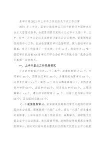 县审计局2021年上半年工作总结及下步工作打算