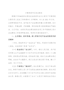 乡镇党委书记述法报告