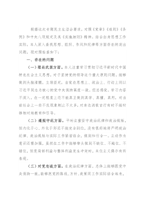 “恪守忠诚本色、强化实干担当”专题民主生活会对照检查材料（党员干部）