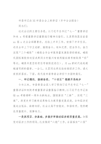 市委书记在XX市委全会上的讲话（年中全会报告）