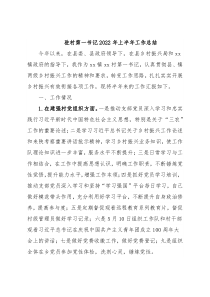 驻村第一书记2022年上半年工作总结