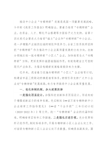 在全省专精特新“小巨人”企业培育工作阶段总结会议上的讲话
