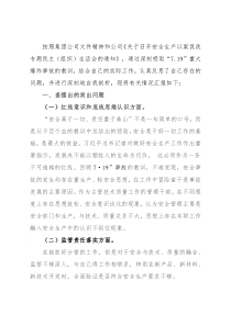 国企技术总监安全生产以案促改专题民主生活会个人发言提纲