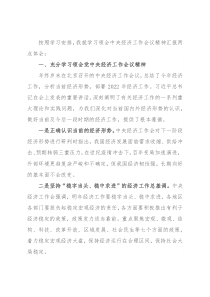 学习中央经济工作会议精神发言提纲