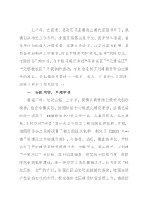 镇2022年上半年综治工作执行及落实情况汇报