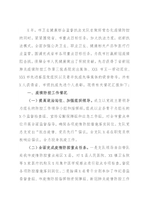 卫生健康综合监督执法支队工作总结及X年工作计划