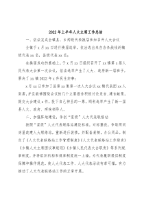 2022年上半年人大主席工作总结