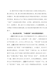 强化党建引领乡村振兴工作总结