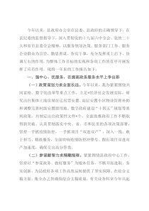 2022年县政府办公室工作总结