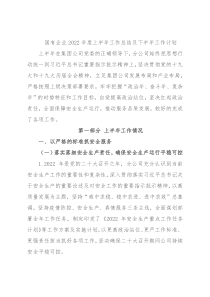 国有企业2022年度上半年工作总结及下半年工作计划