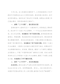 公司2021年党建工作总结