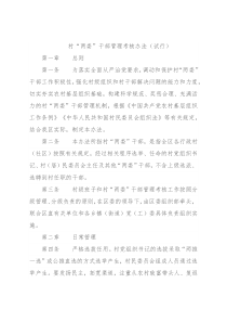 村“两委”干部管理考核办法（试行）