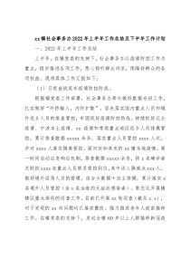 xx镇社会事务办2022年上半年工作总结及下半年工作计划