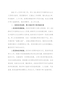 区审计局2022年工作计划