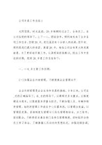 2021年公司年度工作总结报告汇编