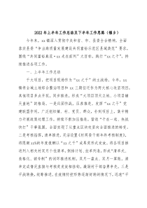 2022年上半年工作总结及下半年工作思路（镇乡）